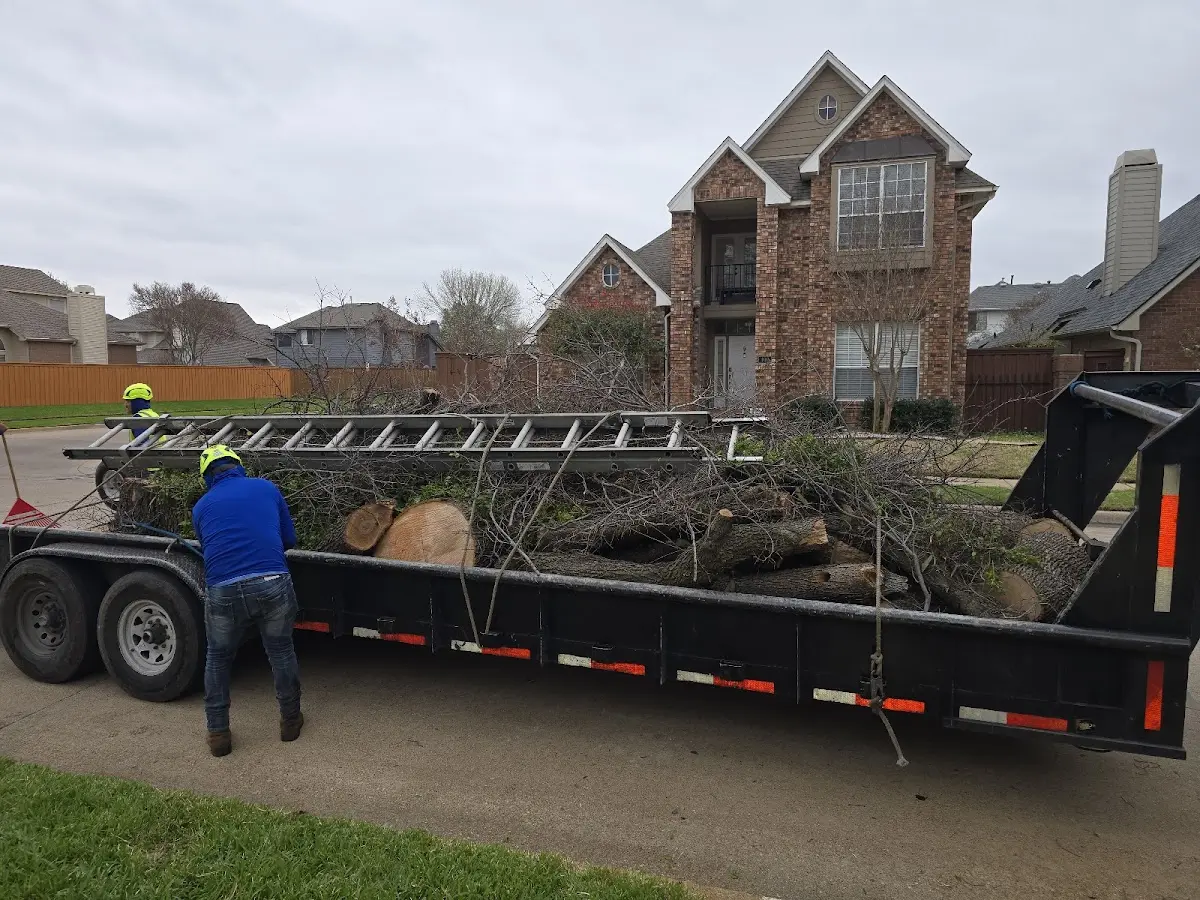 Expert Lot Clearing with proper safety equipment in Rappahannock Academy